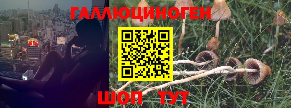 Псилоцибиновые грибы Magic Shrooms Знаменск